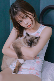江山美人电影